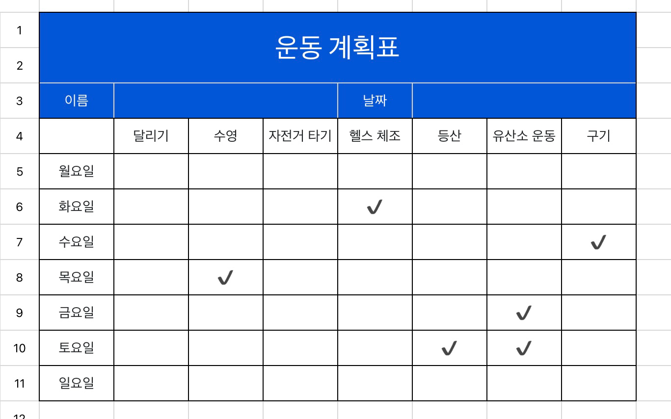 운동 계획표